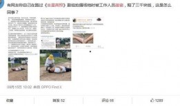 四星吃瓜全文免费下载,揭秘娱乐圈幕后风云，免费全文大放送！