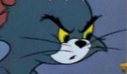 猫鼠爆料站最新角色,揭秘神秘新角色，实力与魅力并存！